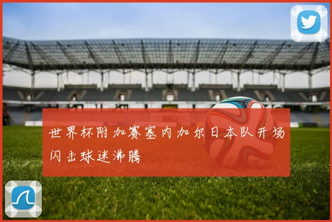 世界杯附加赛塞内加尔日本队开场闪击球迷沸腾