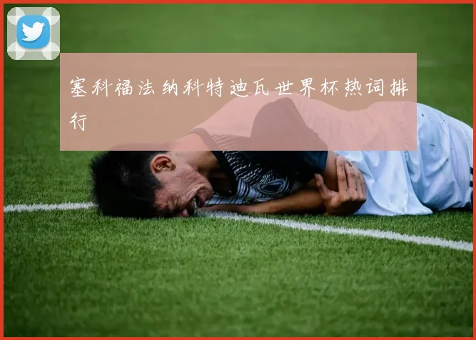 塞科福法纳科特迪瓦世界杯热词排行