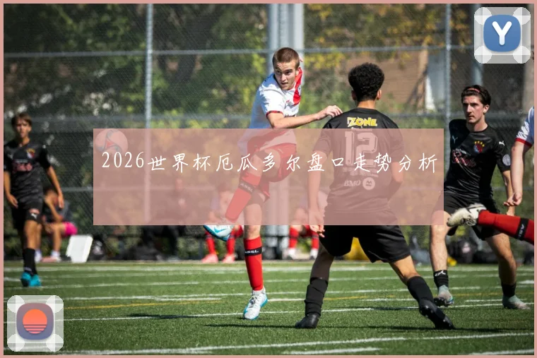 2026世界杯厄瓜多尔盘口走势分析
