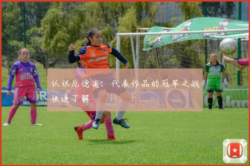 认识厄德高:代表作品的冠军之战快速了解